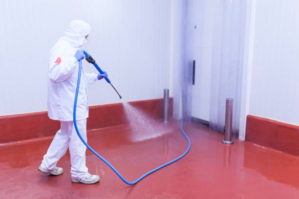 Best Paint Preparation  in Fillmore, UT
